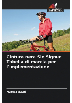 Cintura nera Six Sigma