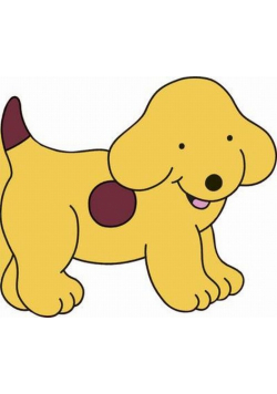 All About Spot