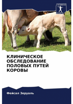 КЛИНИЧЕСКОЕ ОБСЛЕДОВАНИЕ ПОЛОВЫХ ПУТЕЙ КОРОВЫ