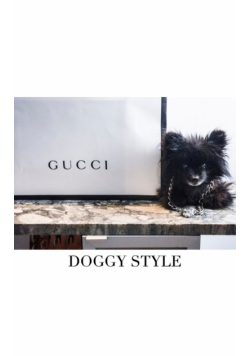 Gucci  Doggy Style