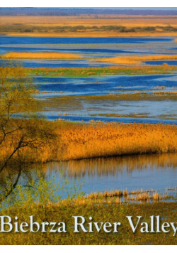 Biebrza River valley