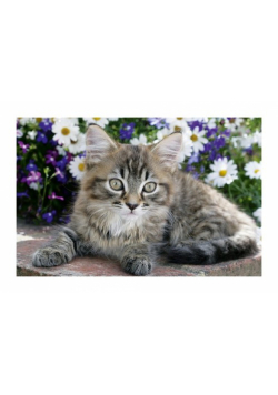 Puzzle Mini Pupile Kot szary