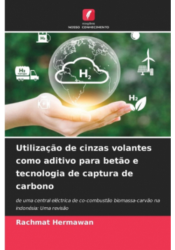 Utilização de cinzas volantes como aditivo para betão e tecnologia de captura de carbono