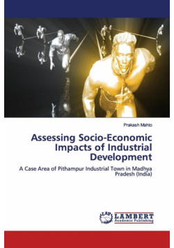 Assessing Socio-Economic Impacts of Industrial Development
