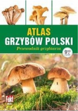 Atlas grzybów Polski Przewodnik grzybiarza