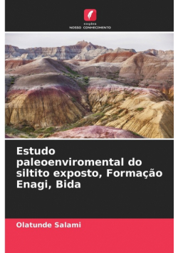 Estudo paleoenviromental do siltito exposto, Formação Enagi, Bida