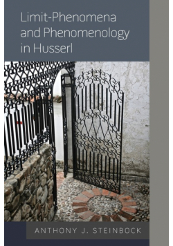 Limit-Phenomena and Phenomenology in Husserl