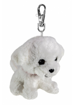 Lumo Maltese dog Rosie mini