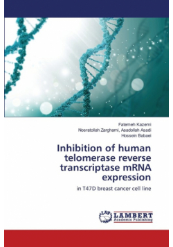 Telomerase and cancer therapy with nanoparticles