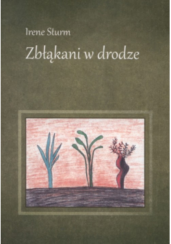 Zbłąkani w drodze