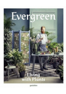 Evergreen