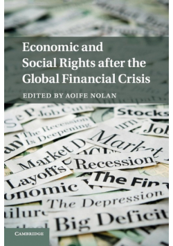 Economic and Social Rights after the Global Financial Crisis
