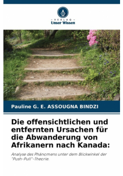 Die offensichtlichen und entfernten Ursachen für die Abwanderung von Afrikanern nach Kanada
