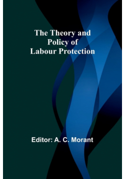 The Theory and Policy of Labour Protection