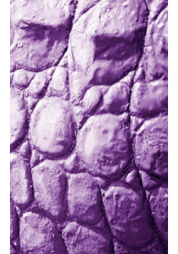Alive! crocodile skin - Violet duotone - Photo Art Notebooks (5 x 8 series)