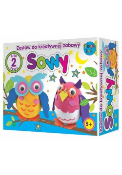Sowy Zestaw do kreatywnej zabawy
