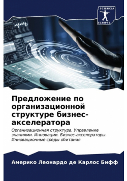 Предложение по организационной структуре бизнес-акселератора