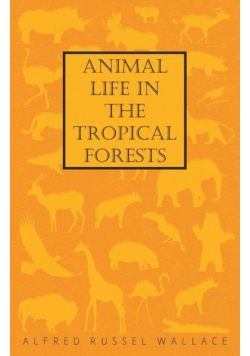 Animal Life in the Tropical Forests