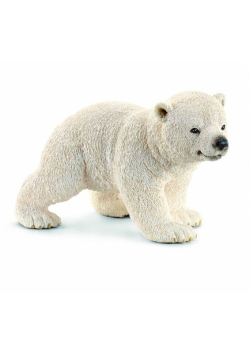 Młody niedźwiedź polarny