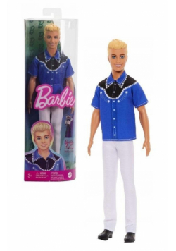 Barbie Fashionistas. Ken Stylowy HRH25