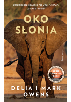 Oko słonia