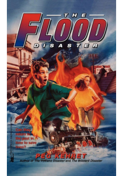 The Flood Disaster
