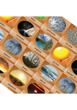 Memory Game Nature