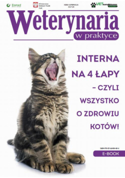 Interna na 4 łapy – czyli wszystko o zdrowiu kotów