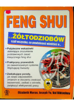 Feng shui dla żółtodziobów