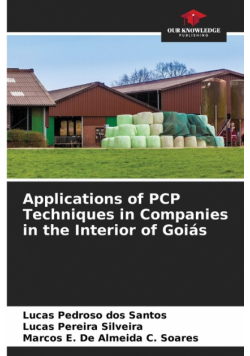Applications of PCP Techniques in Companies in the Interior of Goiás