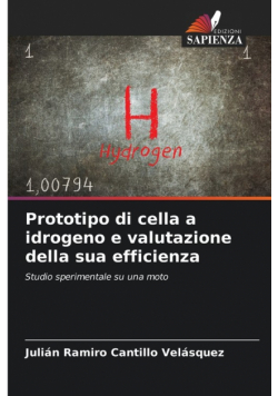 Prototipo di cella a idrogeno e valutazione della sua efficienza