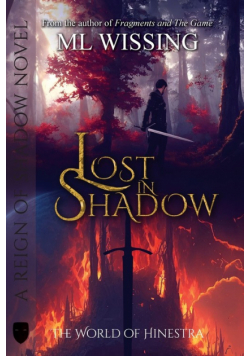 Lost in Shadow