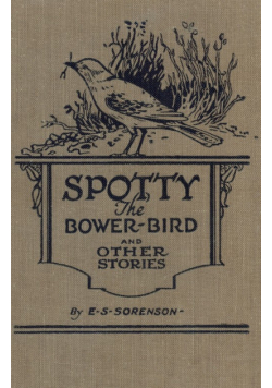 Spotty the Bower Bird