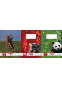 Zeszyt A5 x.book w kratkę 32 kartki 10 sztuk mix