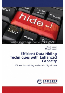 Efficient Data Hiding Techniques with Enhanced Capacity