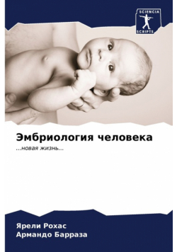 Эмбриология человека