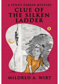 Clue of the Silken Ladder