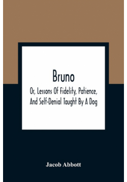 Bruno; Or, Lessons Of Fidelity, Patience, And Self-Denial Taught By A Dog
