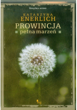 Prowincja pełna marzeń, Audiobook
