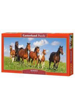 Puzzle Paso Fino Herd 4000