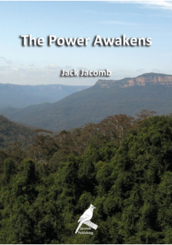 The Power Awakens