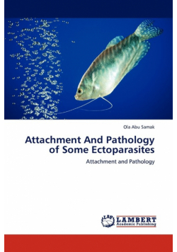 Attachment And Pathology of Some Ectoparasites