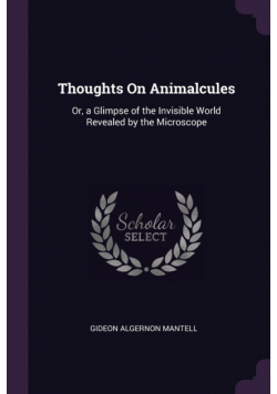Thoughts On Animalcules