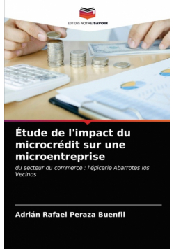 Étude de l'impact du microcrédit sur une microentreprise