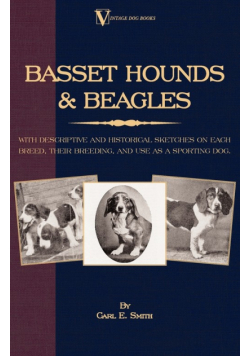 Basset Hounds & Beagles