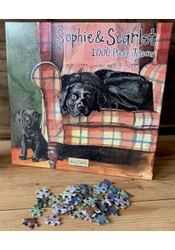 Puzzle 1000 J08 Psy Sophie&Scarlett