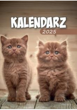 Kalendarz 2025 A6 Zdzierak MIX
