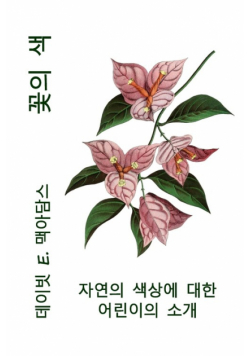 꽃의 색