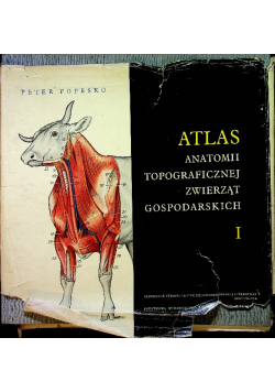 Atlas Anatomii topograficznej zwierząt gospodarskich Tom I