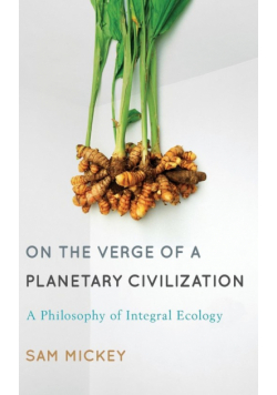 On the Verge of a Planetary Civilization